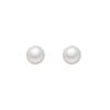 Silver Needle Small and Elegant Stud Earrings for Women, A Niche Design with A Retro Touch, New Style Ear Accessories.