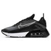 Nike Air Max 2090 Schwarz Wolfsgrau Anthrazit CW7306-001