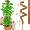 Green Radish Coconut Palm Stick Pile Plant Flower Stand Climbing Frame Monstera Support Coconut Silk Moss Pole Wrapped Rack