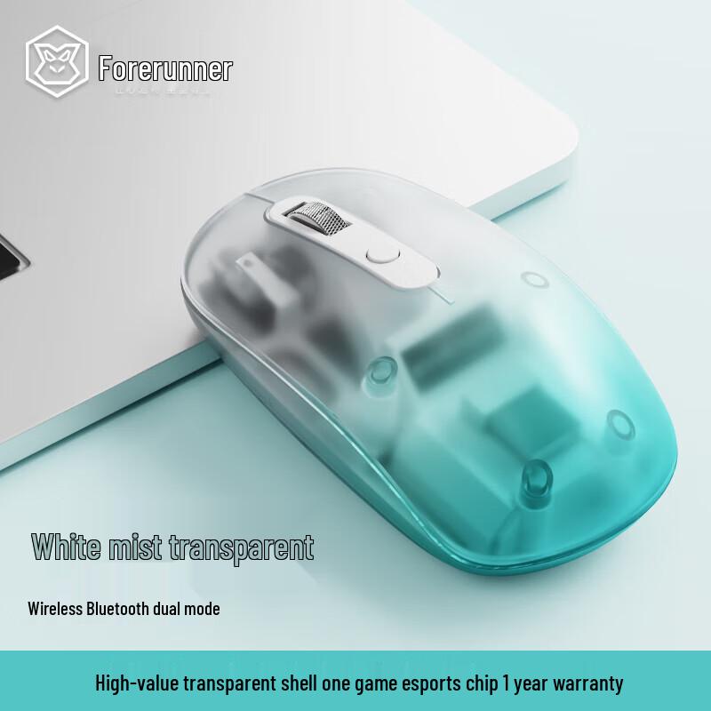 

Qianxingzhe Q10 Transparent Dual-Mode Wireless Mouse