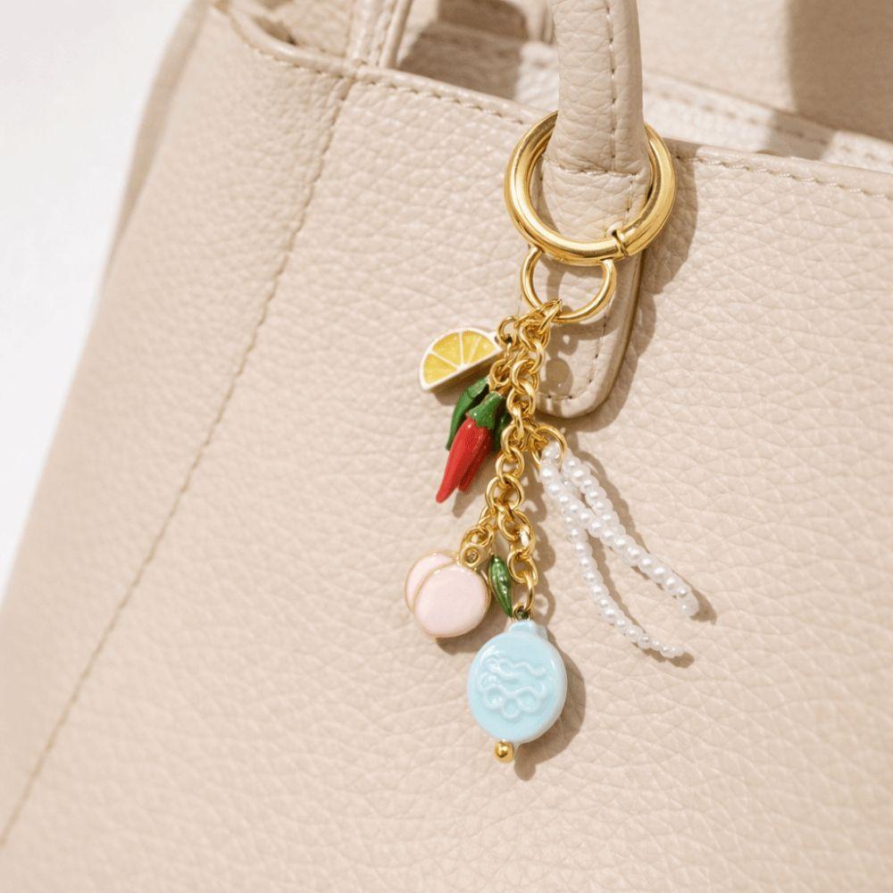 Ladybug Small Fish Key Chain Unique Bag Pendant Creative Braided Rope Bag Charm Decoration