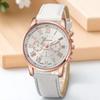 Fashion Geneva Quartz Watch Roman Numerals Three Eye Six Pin Casual Wrist Watch for Women Men Couple Stylish Dress Watch