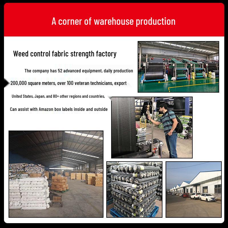 Orchard Weed Control Fabric Fixing Staples for PP Ground and Bird Net