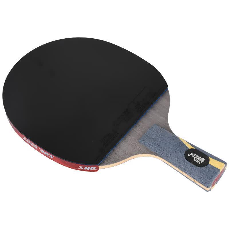 DHS Wang Hao Signature Penhold Table Tennis Racket