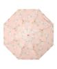 Moonbat Long For Both Sun and First Class Light Heat UV Pink [Paul & Joe] Parasol, Umbrella, Rain, Blocking, Blocking, Protection, Chrysanthemum,