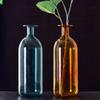 Colorful Glass Vases Creative Desktop Decorations Hydroponic Flower Pots Home Living Room Weddings Parties Decoration