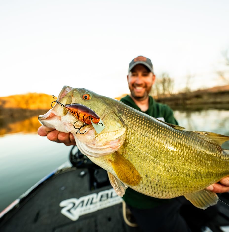 Rapala Garage Big Rocco CBK Chartreuse Black OGBR6 Otto's