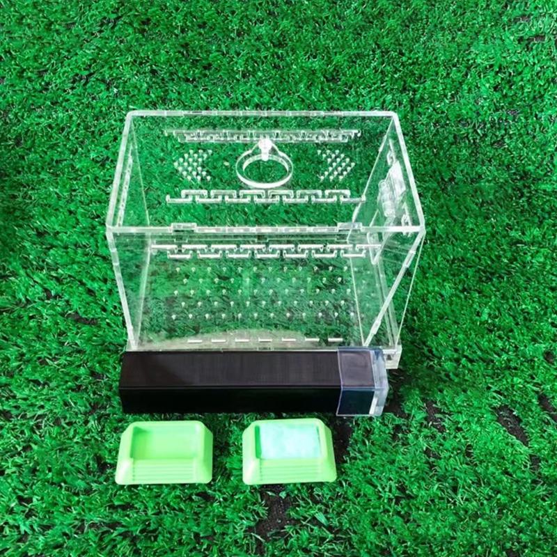 Spacious Cricket Keeper Enclosure Large Capacity With Feeding Tubs And Hide Tube