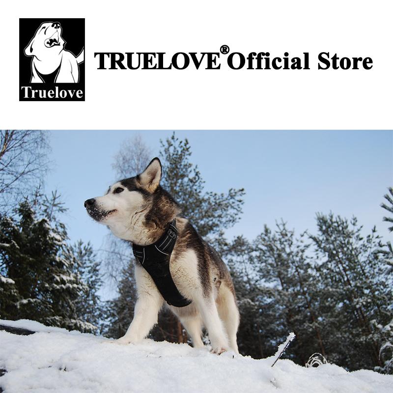 Truelove Haustiergeschirr Reflektierendes Nylon Großes Haustier Hundegeschirr Allwetter Gepolstert Verstellbar Sicherheits-Fahrzeugleinen für Hund TLH5651