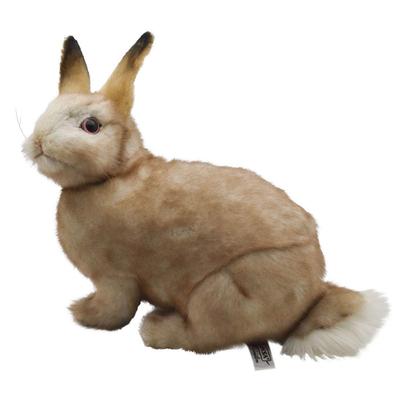 BH7797 HANSA Rabbit 35