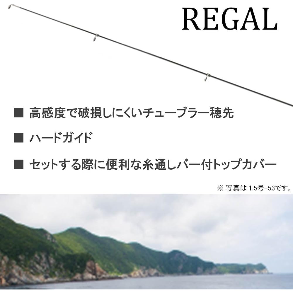 Daiwa Regal 3-53 Fishing Rod for Pier, Offshore, and Rock Fishing