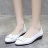 Middle-aged and Elderly Single Shoes Women's Elderly Shoes Low-heeled Thick-heeled Pointed Toe Shallow Mouth Work Shoes