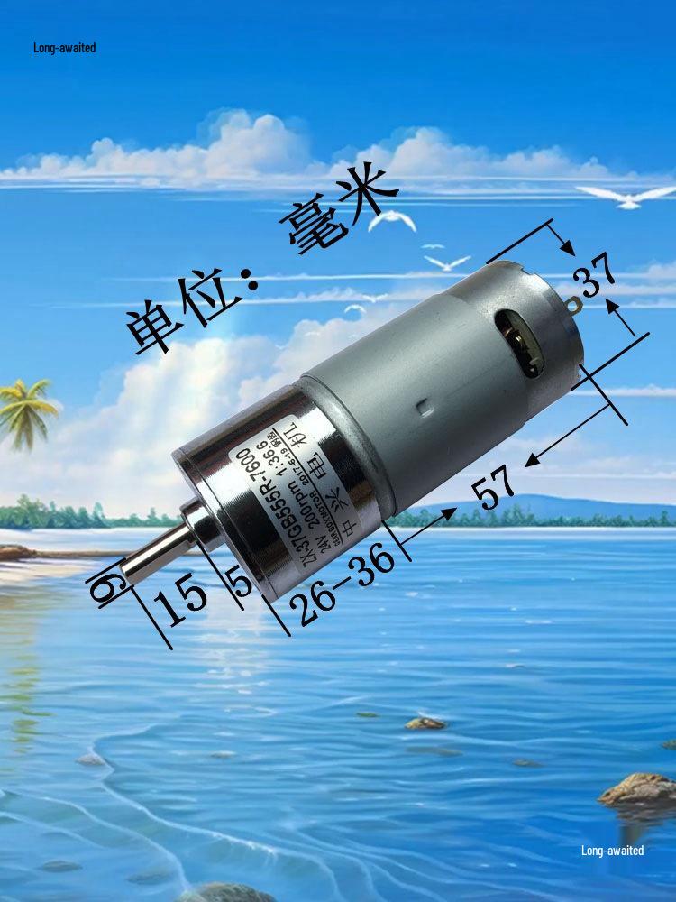 37GB555 DC Low-Speed Reversible Motor: 12V/24V, Miniature, Adjustable Speed, High Torque