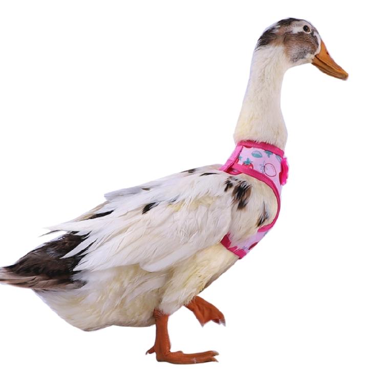 Rabbit Harness and Leash Small Animal Clothes for Rabbit Duck Small Animal
