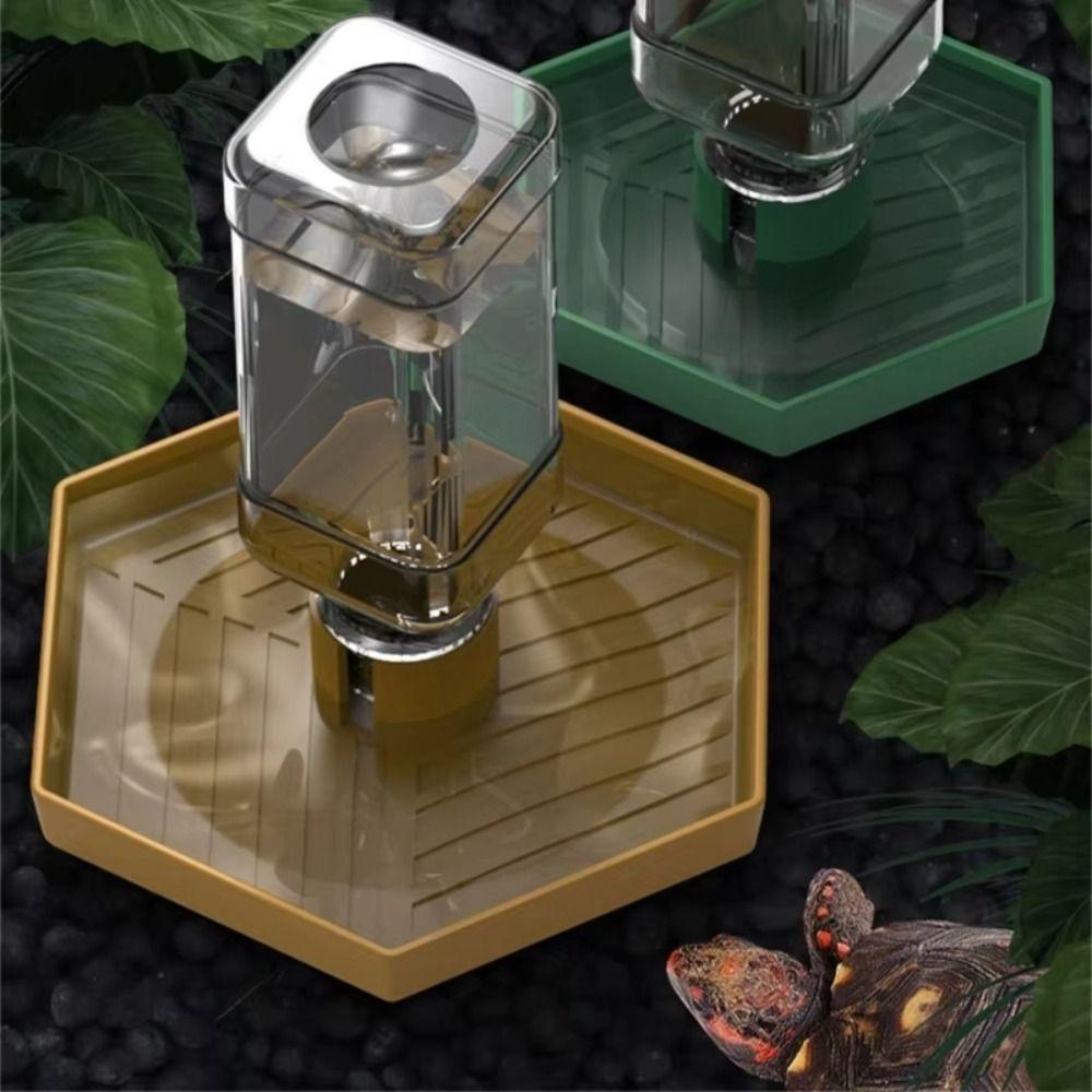 Detachable Turtle Water Bowl Stable Lizard Food Feeder Pet Supplies Reptiles Water Feeder  Vivarium