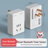 Smart Timer Switch for Automatic Power Off in Fish Tanks & Electric Vehicles