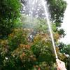 Spray Hose Nozzle Replacement Adjustable Brass Nozzle for Car Washing Gardening High Pressure Nozzles Heavy Duty