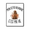 Poster My Irish Setter It's My Life | Photo Paper Poster 310 G Pearlescent Finish Size A2 | Living Room Wall Decoration