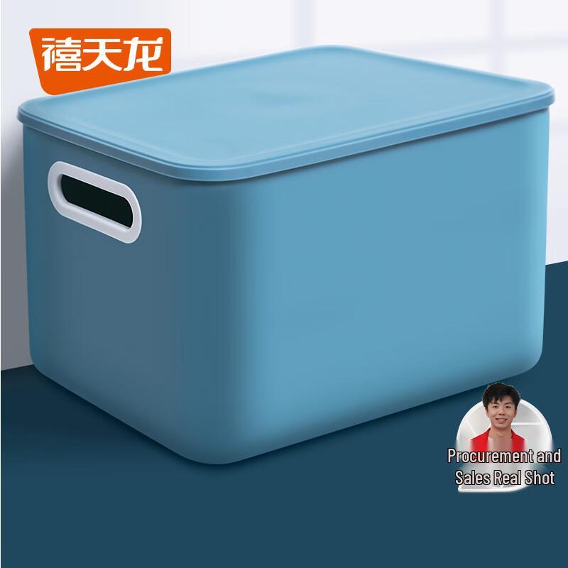 Xitianlong Lidded Storage Box