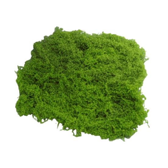 30/100G Artificial Green Moss DIY Crafts Indoor Plants Fairy Gardens Table Centerpieces Fish Tanks Microlandscape Decorative Fake Moss
