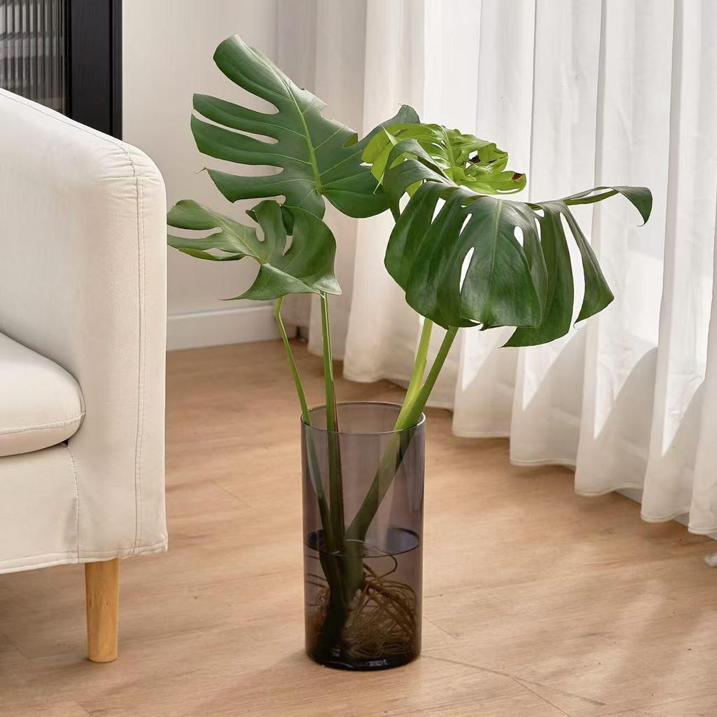 Acrylic Transparent Vase for Flower Arrangements and Lucky Bamboo - Large Straight Cylinder Design