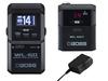 BOSS Wireless System WL-60