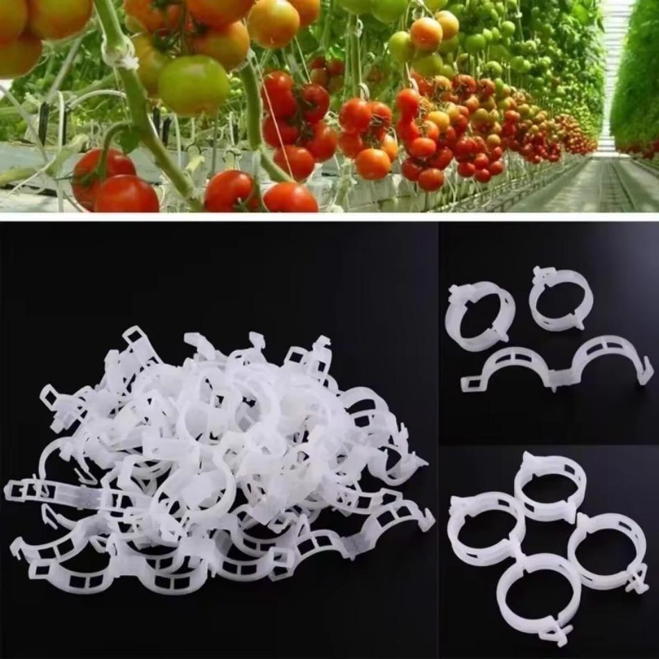 

50/100 Pcs White Fruit Tree Plant Fixing Clip Vine Fixing Device Fruit and Vegetable Seedling Hanging Clip Plant Accessories