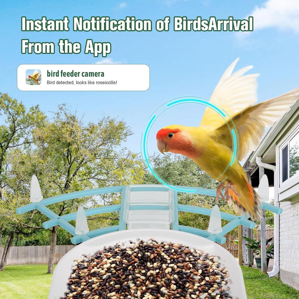 Bird Feeder with Camera AI Identify Birds Species Solar Powered Auto Record Videos in Backyard Instant Notifications Bird Lovers
