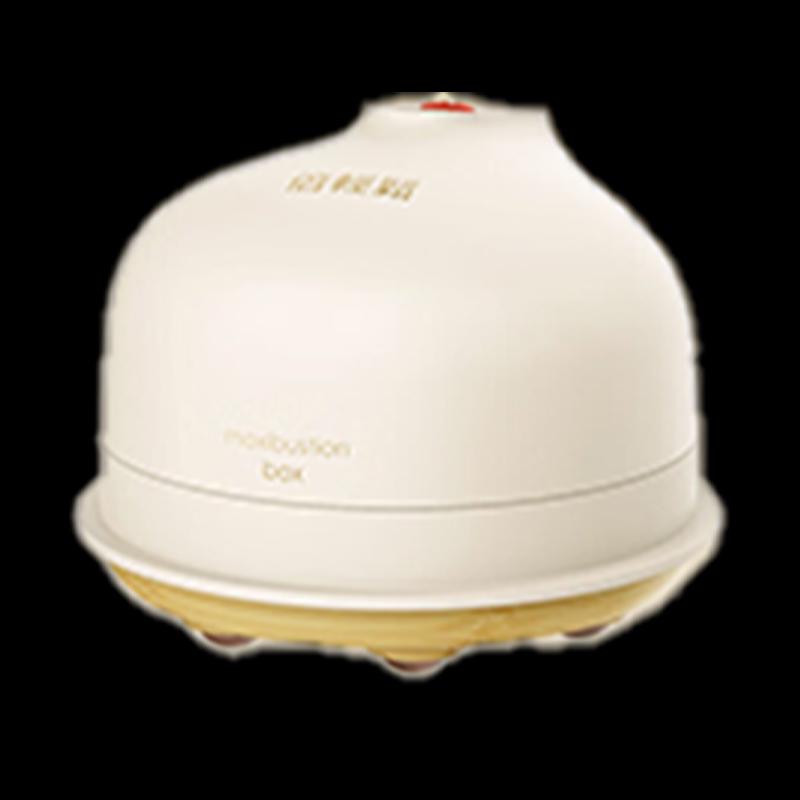 Breo Smart Moxibustion & Scraping Device A3