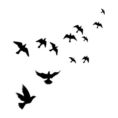 Autocollants d'alerte fenêtre Oiseaux Silhouettes Porte en verre Et Oiseaux