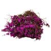 Simulated Micro Landscape Decoration Of Green Plants Diy Micro Landscape Wall Plants Layout Accessory Diorama Kits New