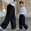 Boys' 2025 Spring & Autumn Wide-Leg Plus Velvet Sweatpants - New Trendy Long Sports Trousers