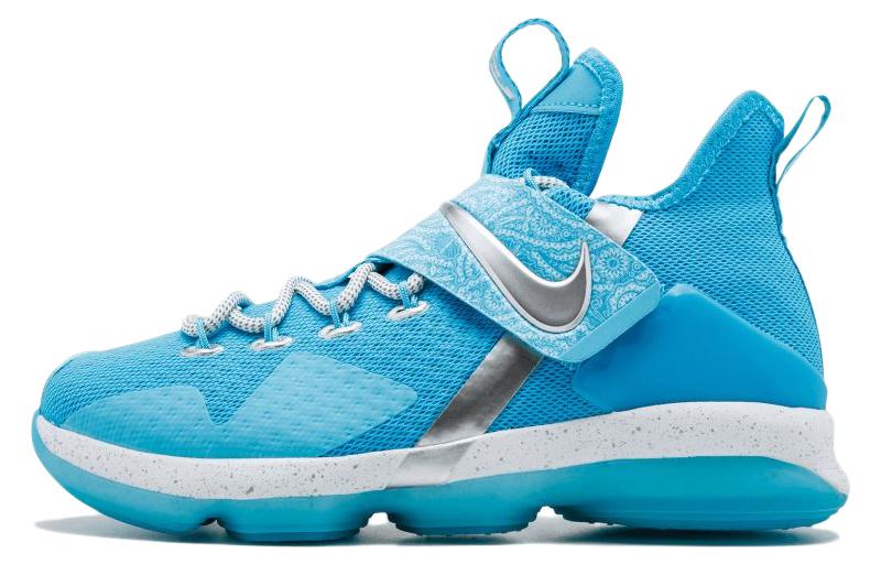 Nike LeBron 14 Ric Flair GS AA3258-404 40