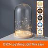 LED Sea Urchin Night Light with Preserved Flower in Glass Cover