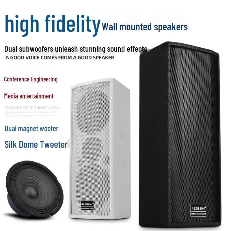 KAXISAIER Professional Passive Conference Speaker