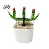 Small Desktop Ornament Mini Glass Planter Ornaments Exquisite Craftsmanship Bright Colorful Handmade Office Desk Decoration Texture for Bedroom Living