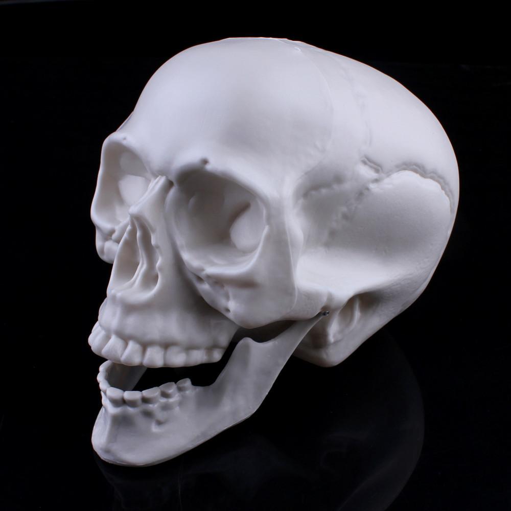 10,000 Halloween ghost festival decoration horror funny spoof trick trick prop plastic skull ornament