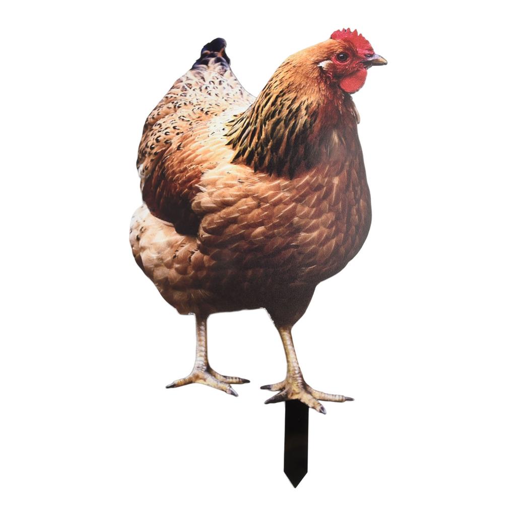 Chicken Sign Poles Acrylic Chicken Design Cute Garden Accessories