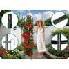 Pergola Ogrodowa Kolumna 200 Cm Plonos Pl-992