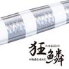 SHIMANO Ocea Stinger Butterfly Pebble Stick Metal Nago Nago Jig, 300g, JT-930N 004,