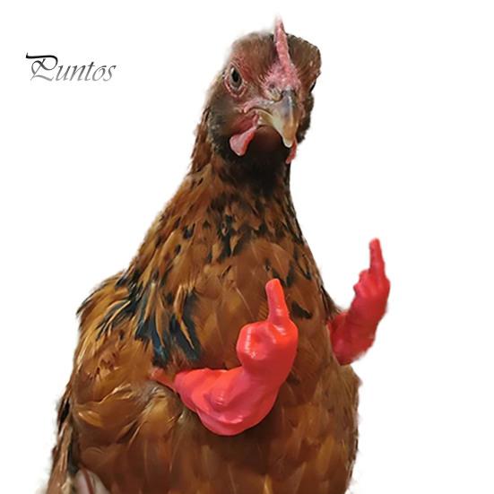 

Игрушки-имитации куриных лап для домашних кур, сжатый в кулак средний палец, поднятый вверх, многофункциональная игрушка-шутка для птиц, уток, гусей B красный