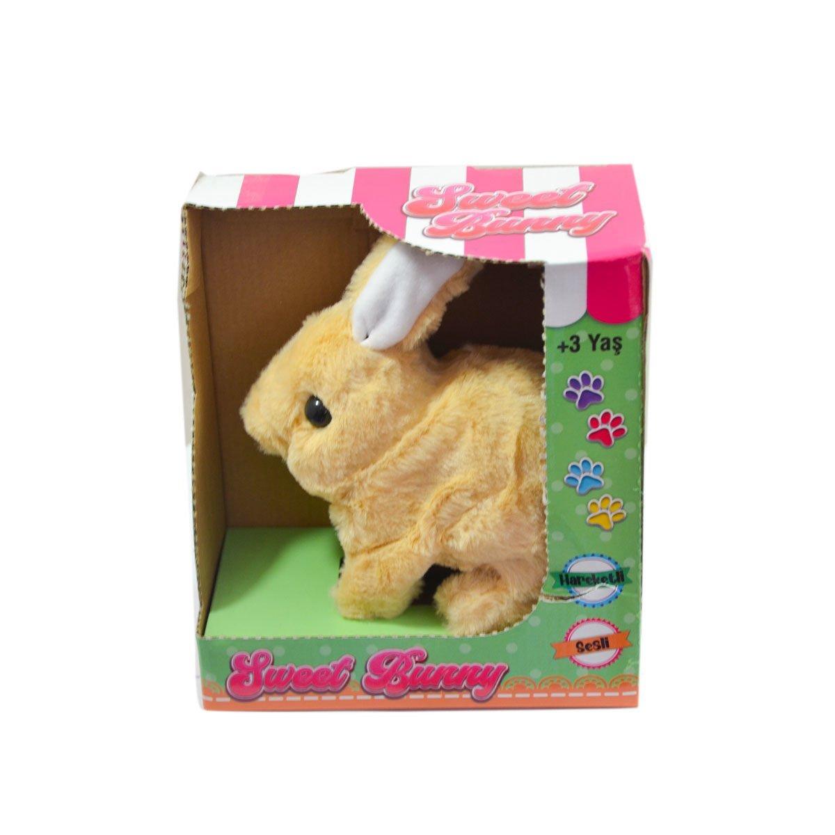 

40098 Tavşan Peluş Pilli-Aya Toys