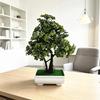 Artificial Plant Indoor Decor With Low Maintenance Plastic Greenery For Home And Office