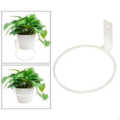 Contemporary Iron Plant Hanger for Wall Decor