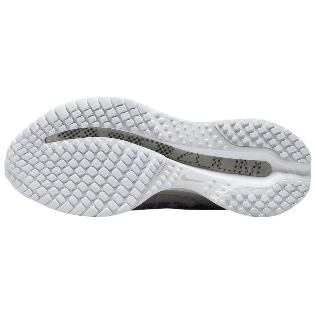 Nike Pegasus Premium White Metallic Silver Men Sneakers HQ2592-102