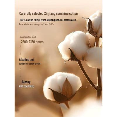 Muji-style Class A Xinjiang Cotton Four-Season Quilt