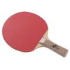 Ping-pong Racket - BODYLINE - Planet - Wood and Rubber - Non-slip - Lightweight