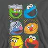 Sesame Street Unisex Adult Characters Sweatshirt