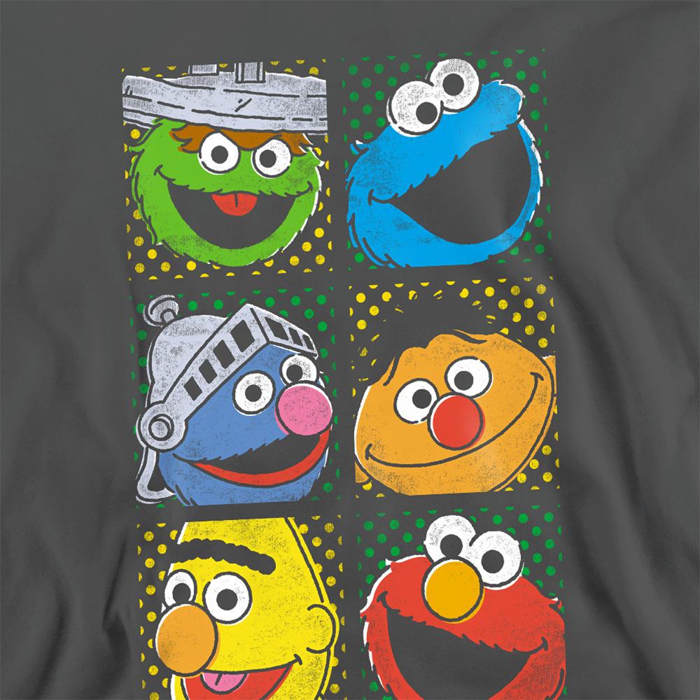 Sesame Street Unisex Adult Characters Sweatshirt