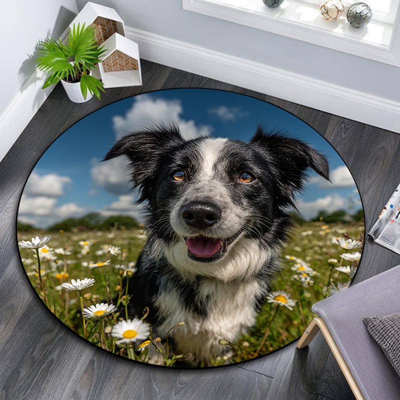 Happy Border Collie Round Area Rug,Carpet Rug for Living Room Bedroom Sofa Playroom Decor,Non-slip Floor Mat 80cmx80cm
